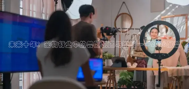 鲸鱼看球直播